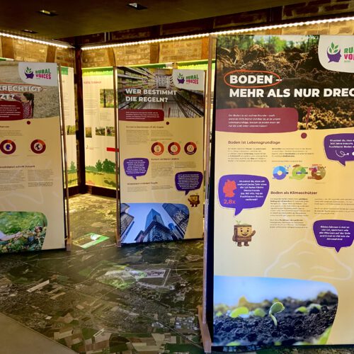 Waldinformationszentrum Steinhaus 
(Foto: Melanie Klinzing)