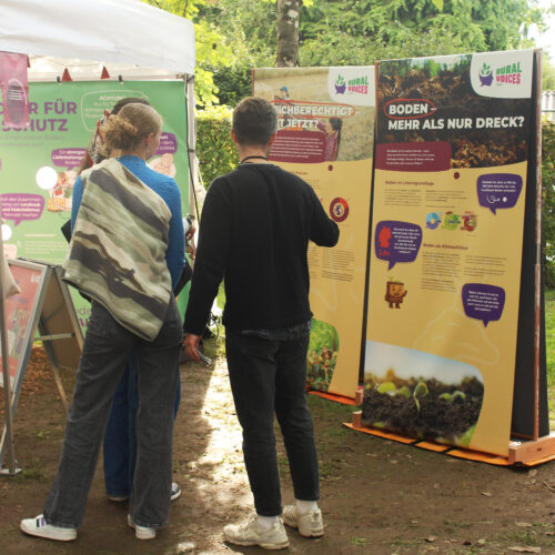 Free Flow Festival Bieberach 2025 
(Foto: Sofie Barth)